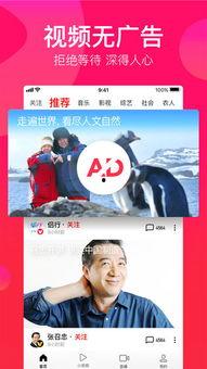 瓜哥吃货视频大全下载免费,免费下载,畅享美食盛宴 第3张 瓜哥吃货视频大全下载免费,免费下载,畅享美食盛宴 第3张